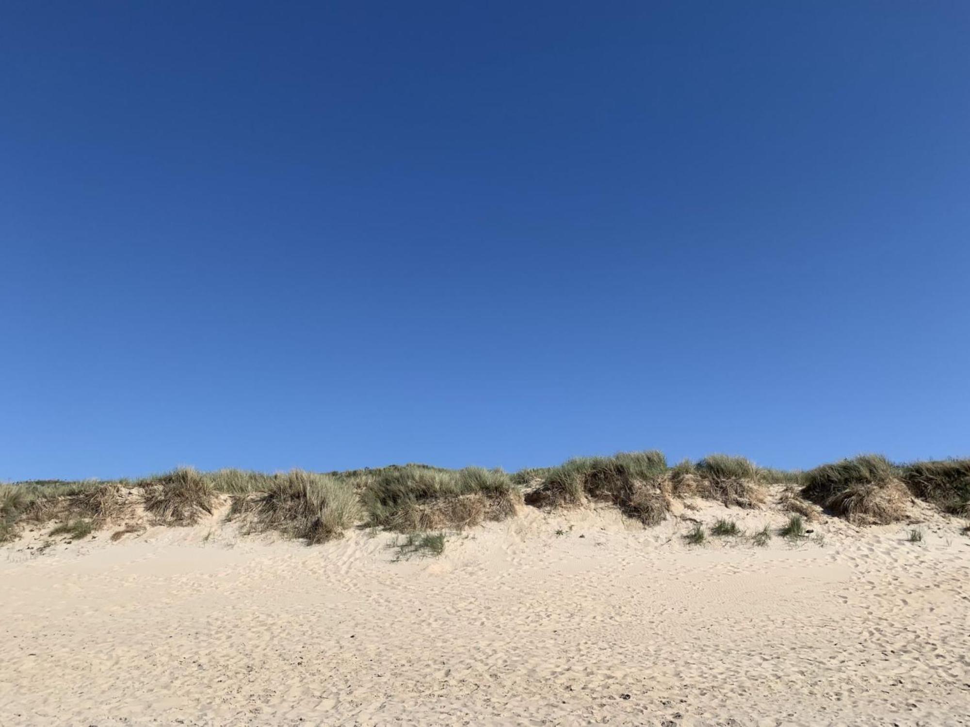 Studio Beach House By Interhome De Haan Zewnętrze zdjęcie